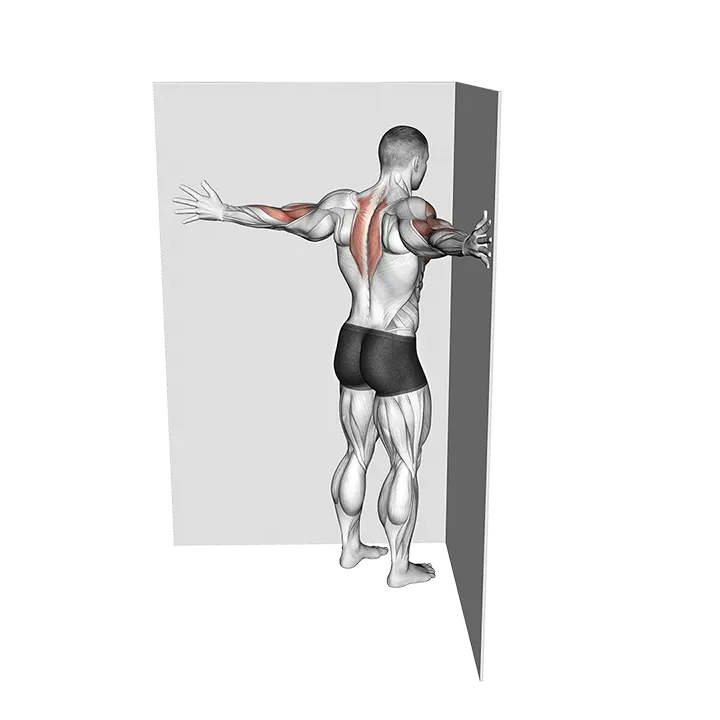 Conner Wall Chest Stretch exercise animation (Male)