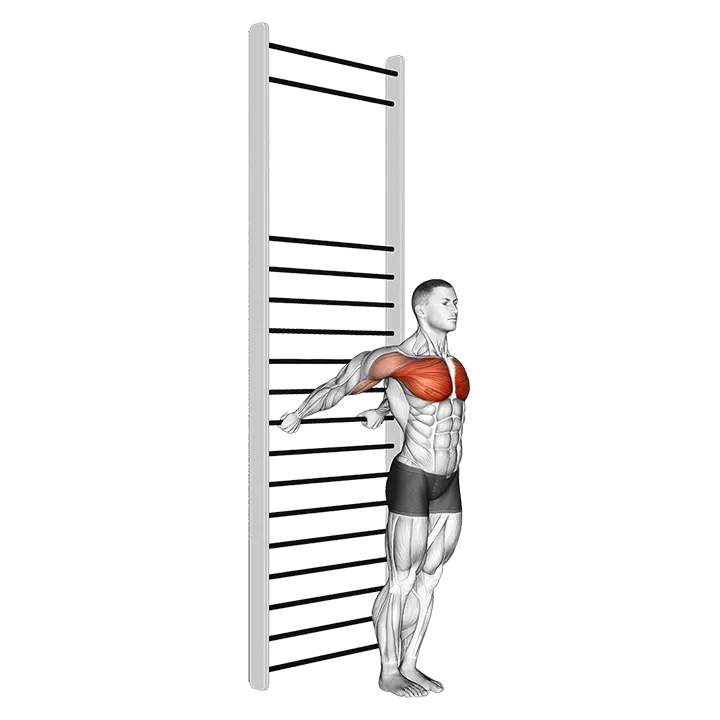 Standing Chest Stretch (with Training Wall Bars) exercise animation (Male)