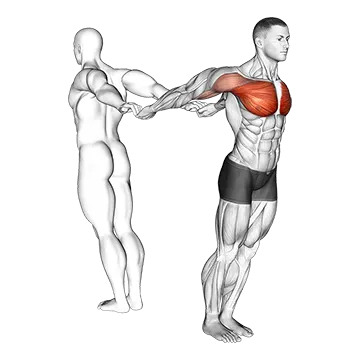 Assisted Pulling Backs Chest Stretch