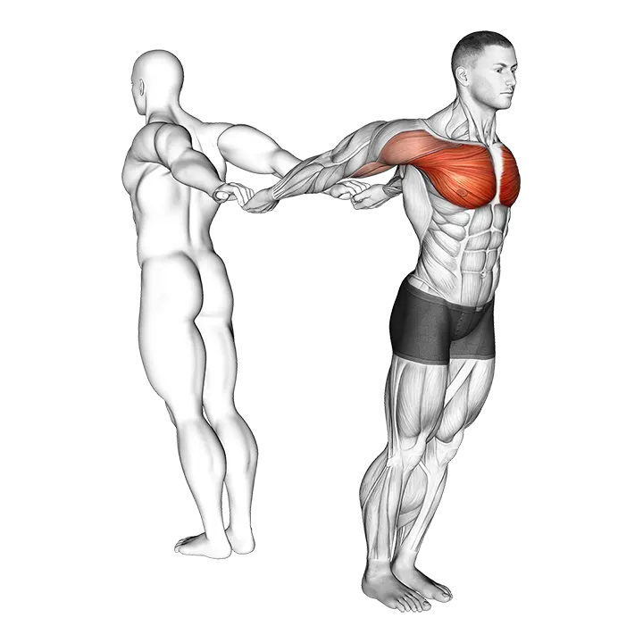 Assisted Pulling Backs Chest Stretch exercise animation (Male)