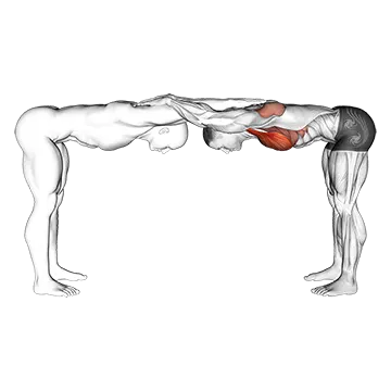 Assisted Trunk Flex Chest Stretch