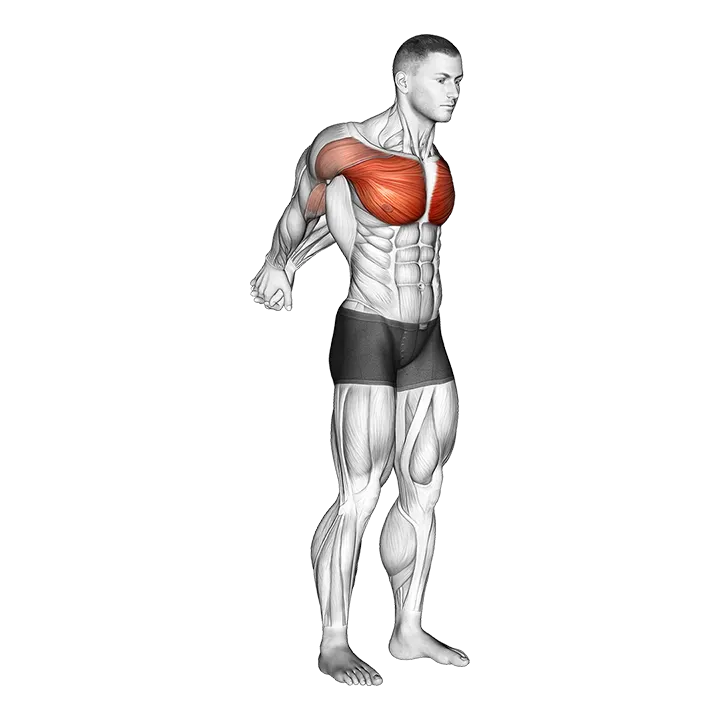 Straight Arms Backward Chest Stretch exercise animation (Male)