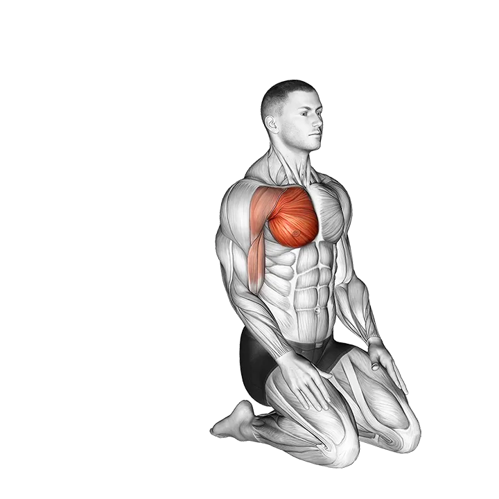 Over Head Straight Arm Stretch exercise animation (Male)
