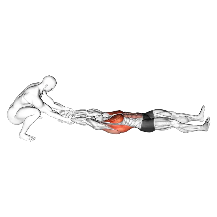 Assisted Straight Arms Lying Stretch exercise animation (Male)