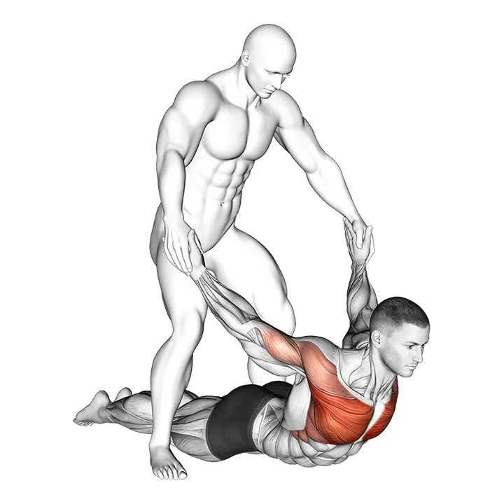 Assisted Pulling Arms in Prone Position Chest Stretch exercise animation (Male)