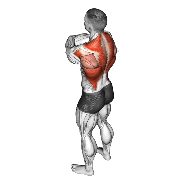 Wrap Around Shoulder Stretch exercise animation (Male)