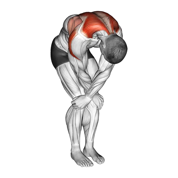 Cross over shoulder stretch exercise animation (Male)