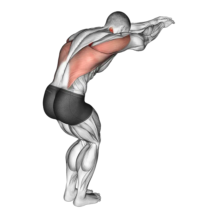 Reach Forward Upper Back Stretch exercise animation (Male)