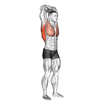 Standing reach up back rotation stretch