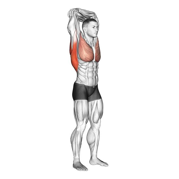 Standing Reach Up Back Rotation Stretch exercise animation (Male)