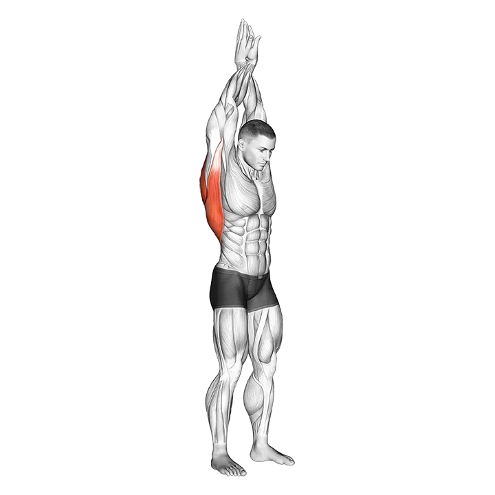 Reach up back stretch exercise animation (Male)