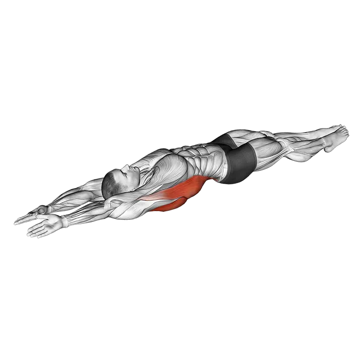 Lying whole body stretch exercise animation (Male)