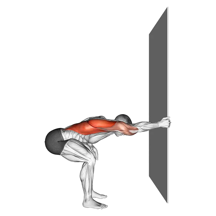 One arm Lat Stretch exercise animation (Male)
