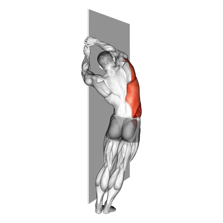 Side Lat Stretch exercise animation (Male)