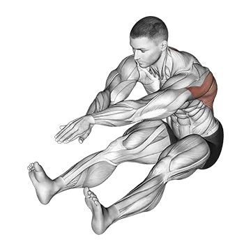 Sitting Bent Over Back Stretch