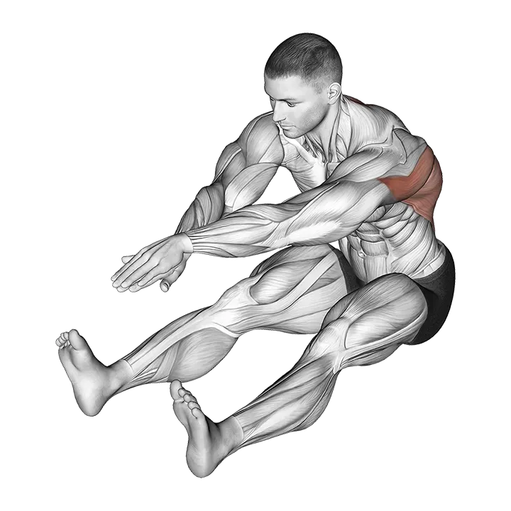 Sitting Bent Over Back Stretch exercise animation (Hombre)