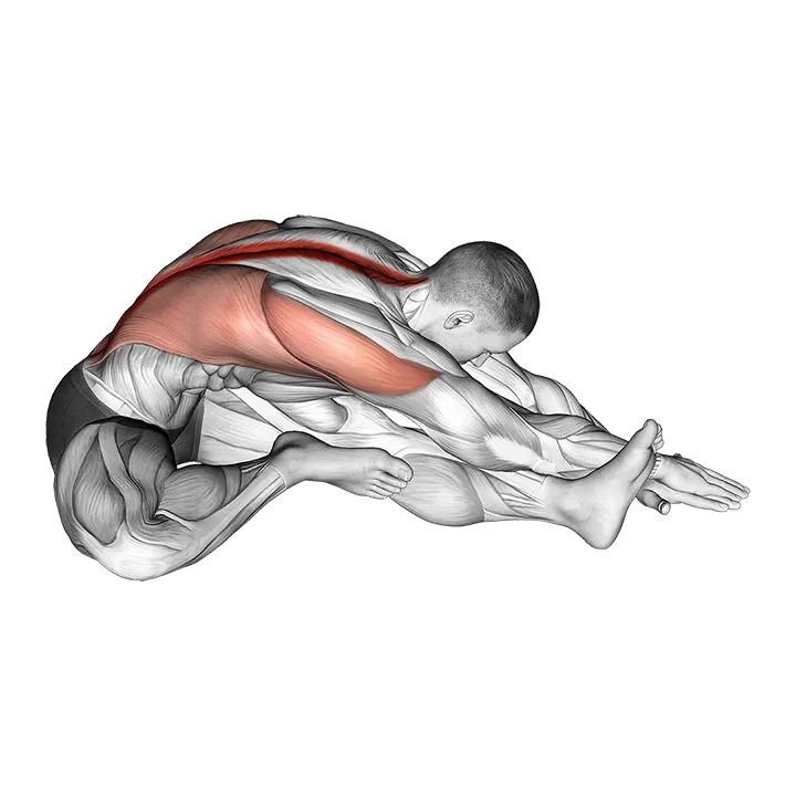 Sitting Side Reach Stretch exercise animation (Male)