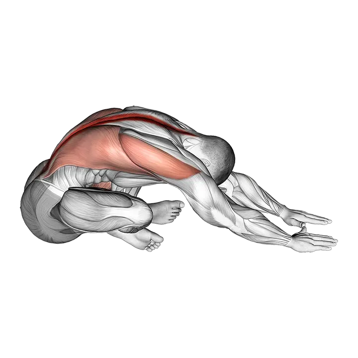Sitting Crossed Legged Reach Forward Stretch exercise animation (Male)