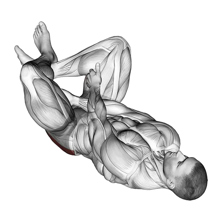 Reclining Lower Trunk Extensor Stretch exercise animation (Male)