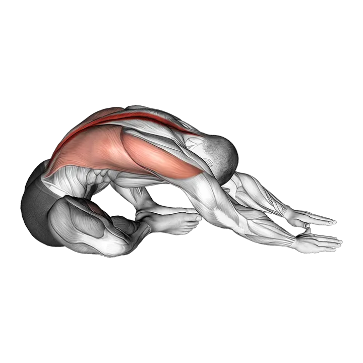 Sitting Feet Together Reach Forward Stretch exercise animation (Male)