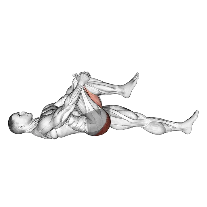 Lying Knee To Chest Stretch exercise animation (Männlich)