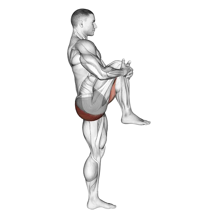 Standing Knee To Chest Stretch exercise animation (Male)