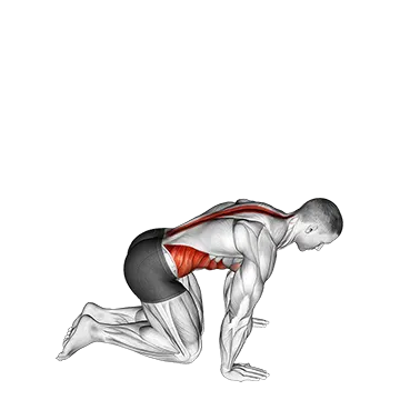 Kneeling Back Rotation Stretch