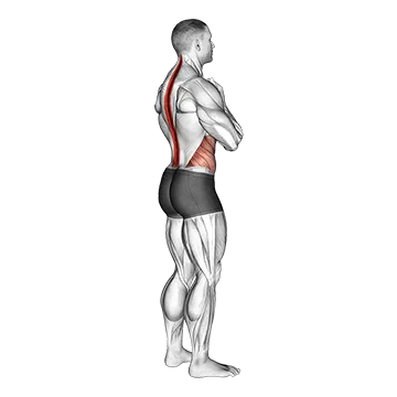 Standing Back Rotation Stretch