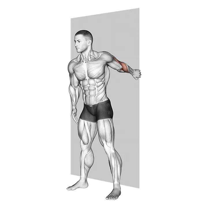 Forearm Pronator Stretch exercise animation (Male)