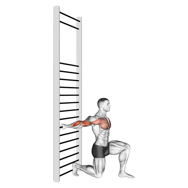 Arms Stretch On A Support exercise animation (Male)