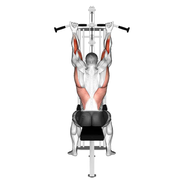 Suspension In Pulley Machine In Supination Stretch exercise animation (Male)