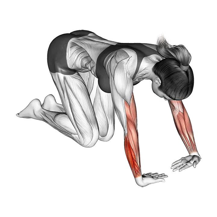 Wrist Radial Deviator And Extensor Stretch exercise animation (Female)