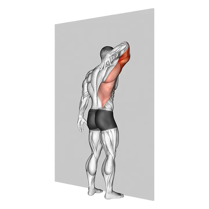 Triceps Stretch Against Wall exercise animation (Male)