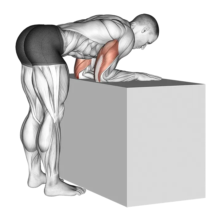 Elbow Extensor Anconeus Stretch exercise animation (Male)