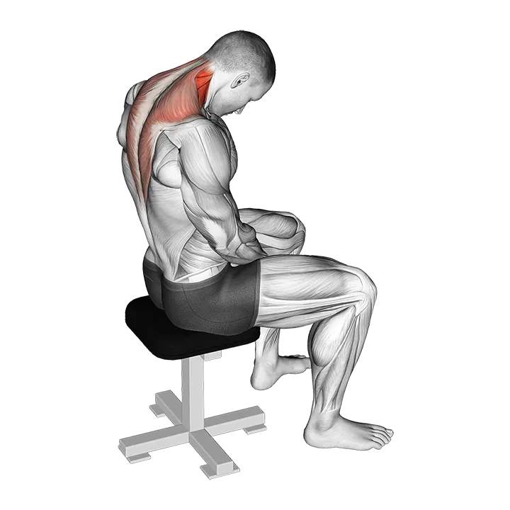 Sitting Neck Flexion Stretch exercise animation (Male)