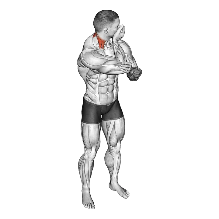Assisted Rotating Neck Stretch exercise animation (Male)