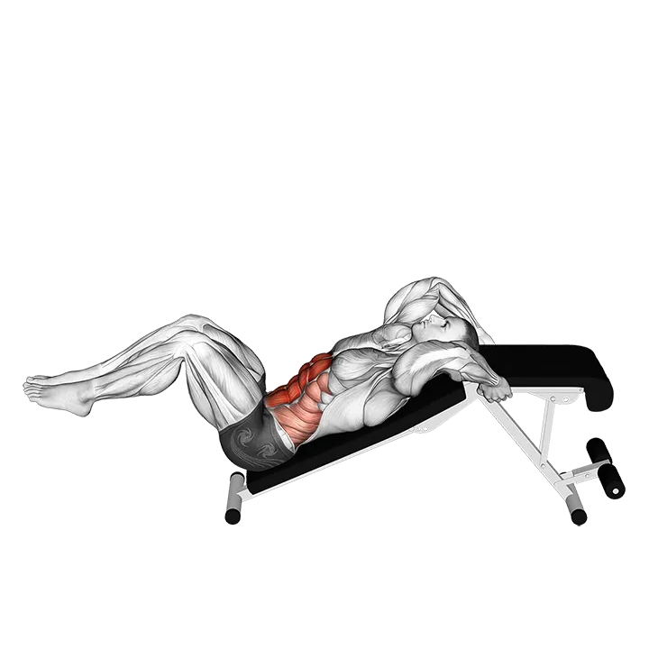 Decline Bent Leg Reverse Crunch exercise animation (Male)