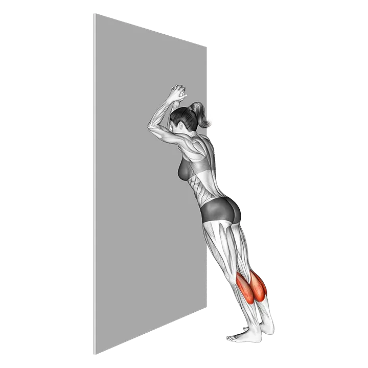 Calves Stretch Static Position exercise animation (Female)