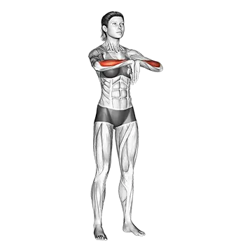 Wrist Extensor Stretch