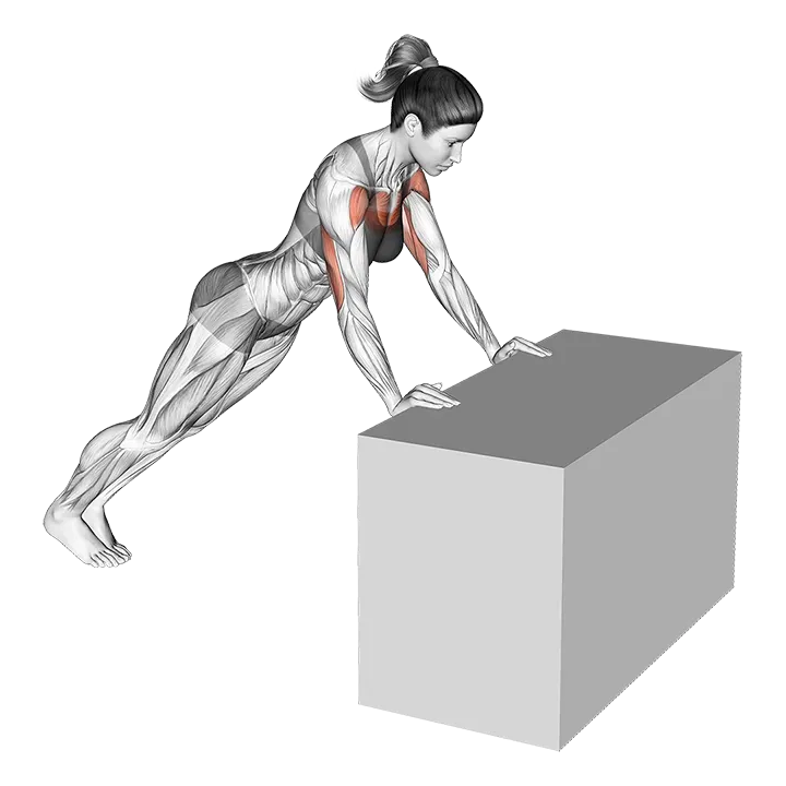 Incline Push Press exercise animation (Female)