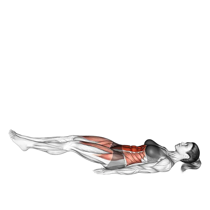 Leg Raise Hip Lift exercise animation (Female)