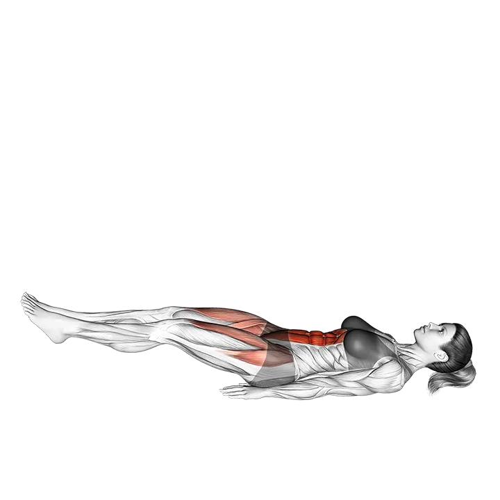 Leg Raise Slightly Bent Knee exercise animation (Female)