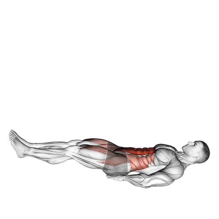 Leg Raise Hip Lift with Head up exercise animation (Male)