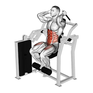 Lever Total Abdominal Crunch