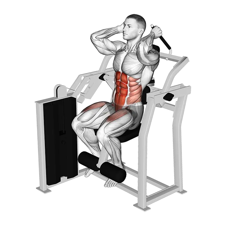 Lever Total Abdominal Crunch exercise animation (Male)