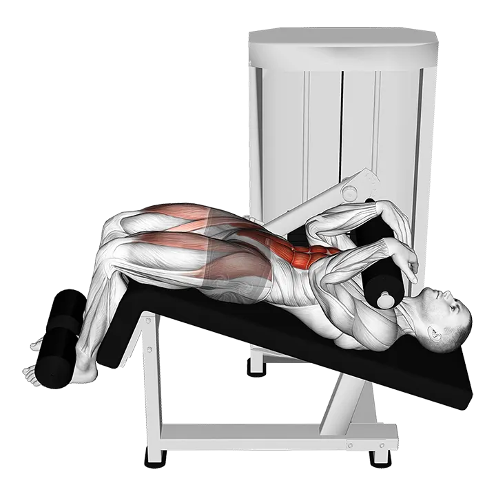 Lever Decline Sit-up exercise animation (Male)