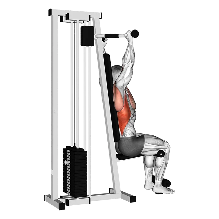 Lever Cable Rear Pulldown exercise animation (Male)