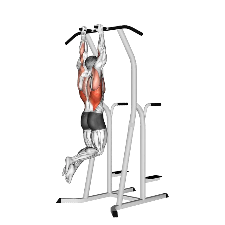 Hammer Grip Pull-up on Dip Cage exercise animation (Male)