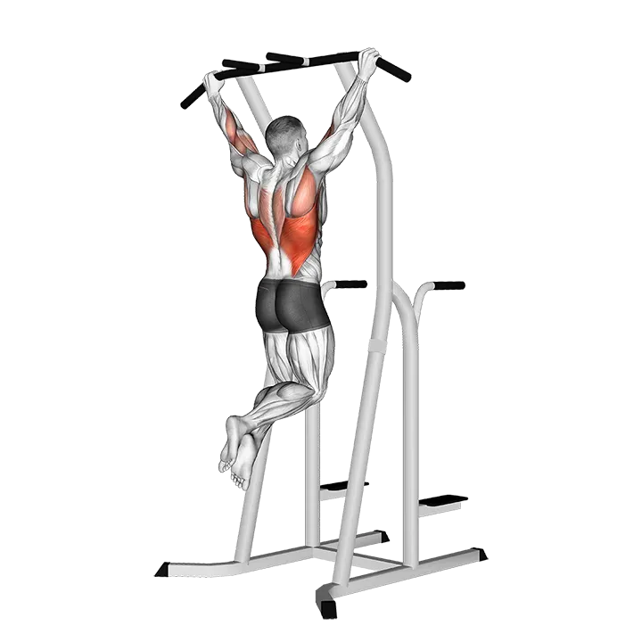 Wide Grip Pull-Up on Dip Cage exercise animation (Male)