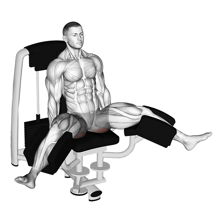 Lever Seated Hip Adduction (VERSION 2) exercise animation (Male)